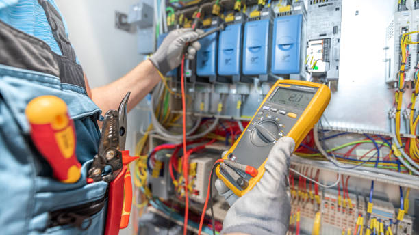 Best Electric Panel Repair  in Woodfield, SC